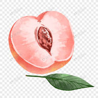 WWW,av119·COM网站APPAPP应用