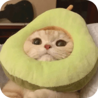 no视频下载官方版APP应用